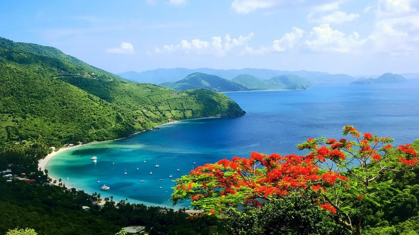 高端高标准高端